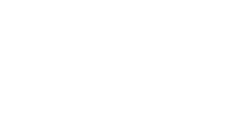 Invista-white-logo